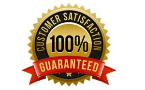 100 Customer Satisfaction